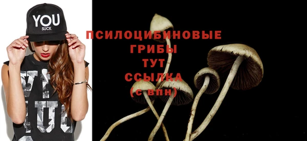 mdpv Алексин