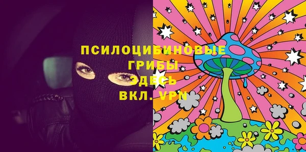 соль ск Алзамай