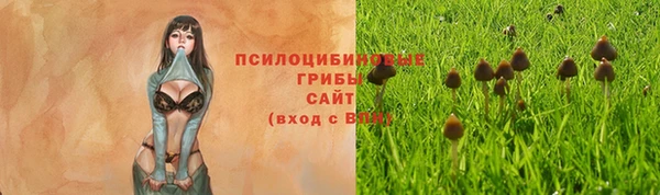 соль ск Алзамай