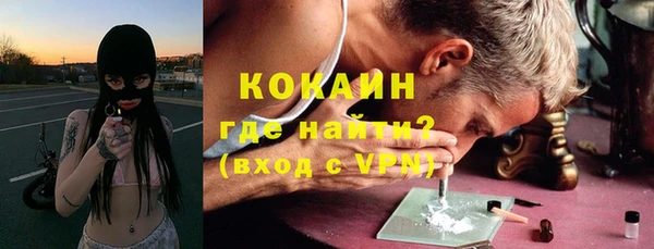 соль ск Алзамай