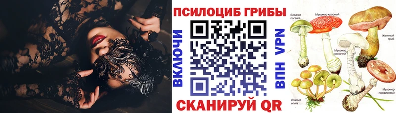 Псилоцибиновые грибы мицелий  ссылка на мегу ТОР  Невинномысск  darknet формула  закладки 